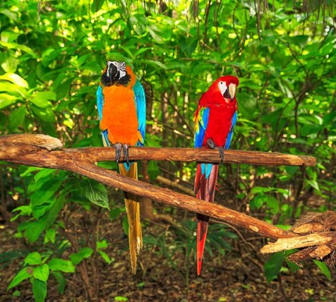 fyc_soa_11_mobile Mobile Image