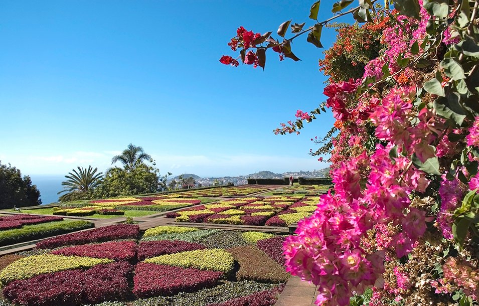 Madeira Cruises, Funchal | MSC Cruises Madeira Cruises, Funchal | MSC Cruises