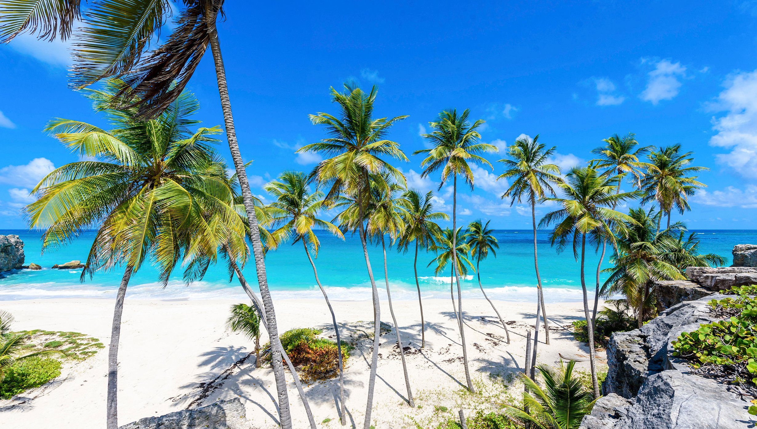 Caribbean & Antilles | MSC Cruises Caribbean & Antilles | MSC Cruises