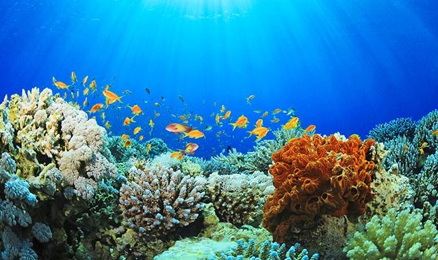 msc15003587_sustainability_640x380 msc15003587_sustainability_640x380