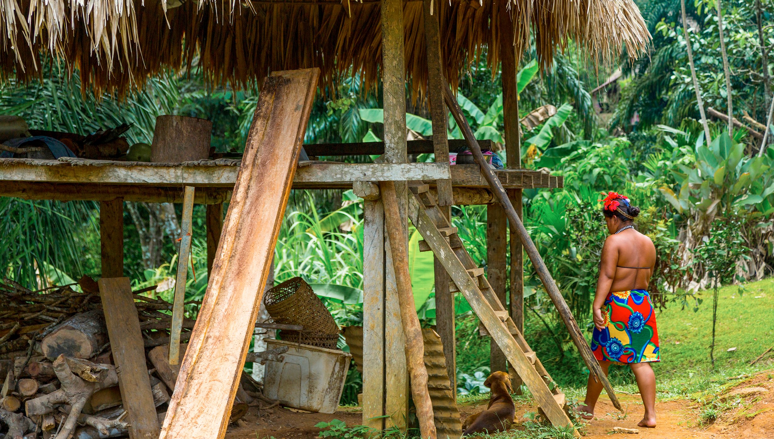 Panamakanal Kreuzfahrt, Embera-Dörfer | MSC Cruises Panamakanal Kreuzfahrt, Embera-Dörfer | MSC Cruises