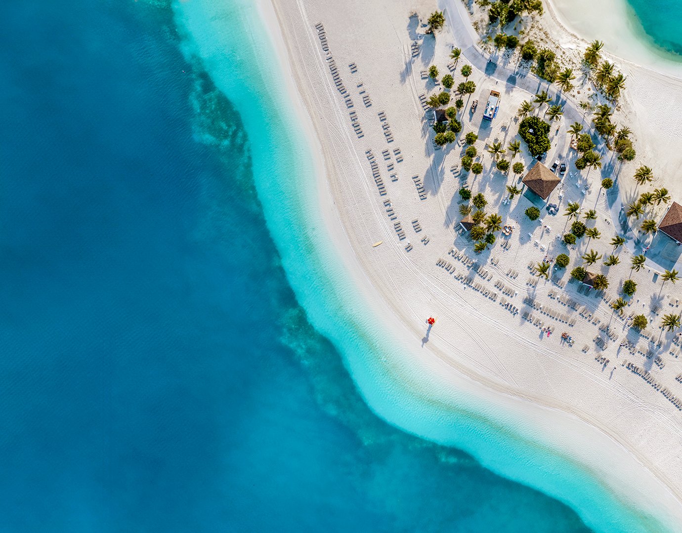 Ocean Cay MSC Marine Reserve, Strände | MSC Cruises Ocean Cay MSC Marine Reserve, Strände | MSC Cruises