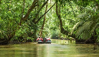 Tortuguero Canals, Costa Rica | MSC Cruises Tortuguero Canals, Costa Rica | MSC Cruises