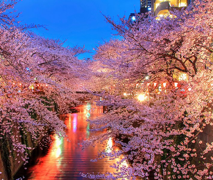 Tokyo, Japan | MSC Cruises Tokyo, Japan | MSC Cruises