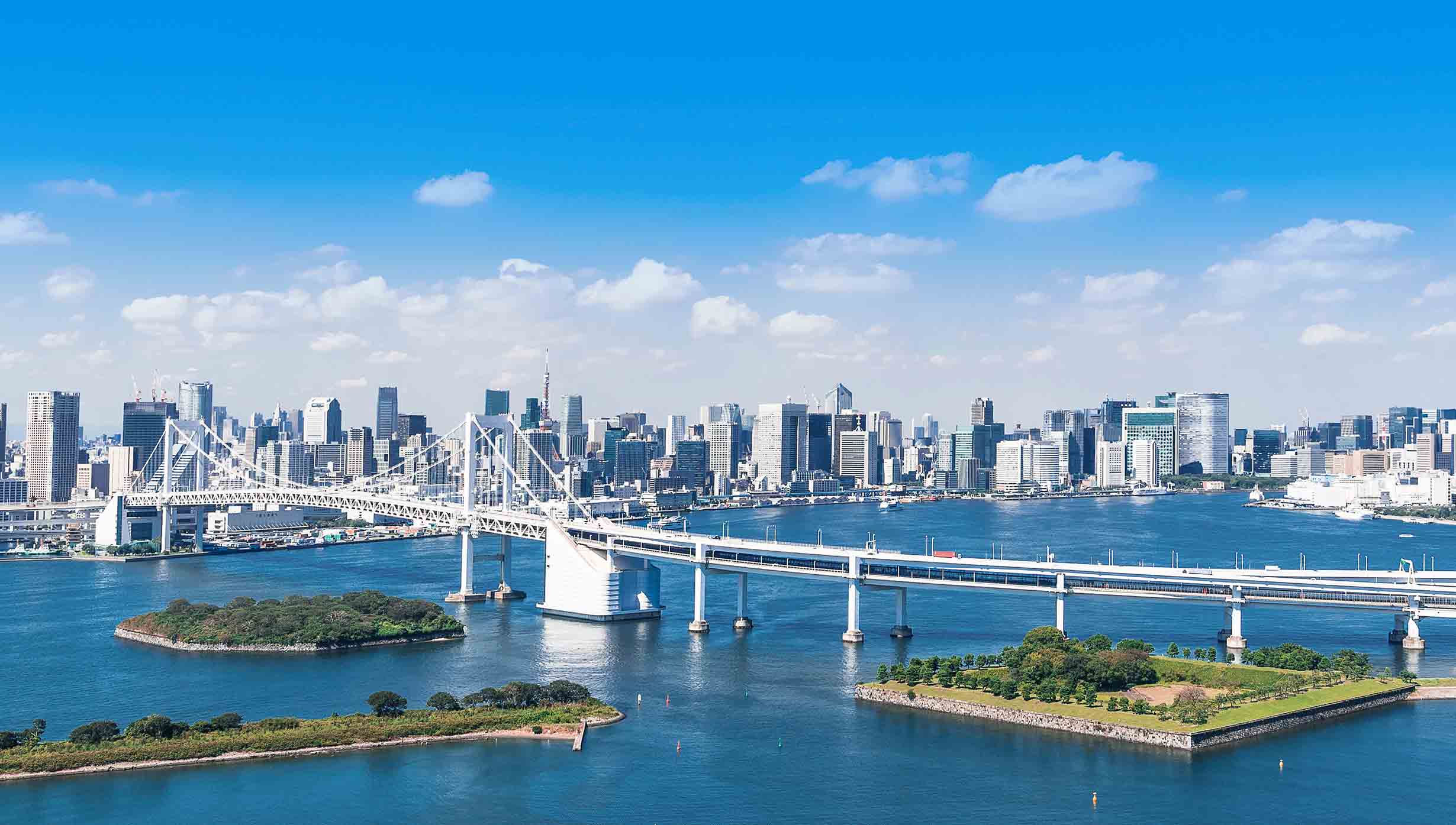 rainbow bridge, Rainbow Bridge, MSC Cruises, Cruise ship rainbow bridge, Rainbow Bridge, MSC Cruises, Cruise ship