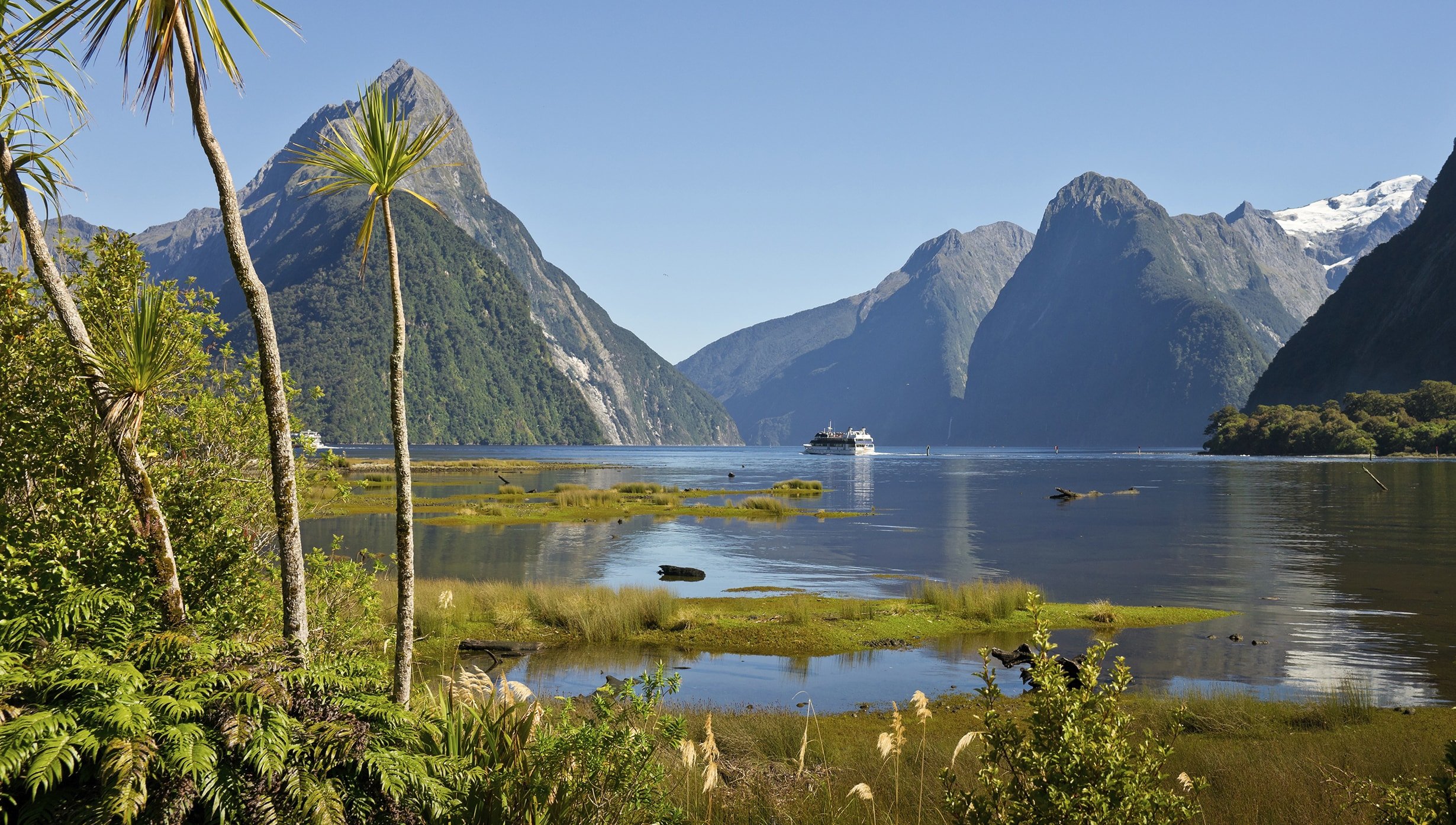 Wellington Wellington