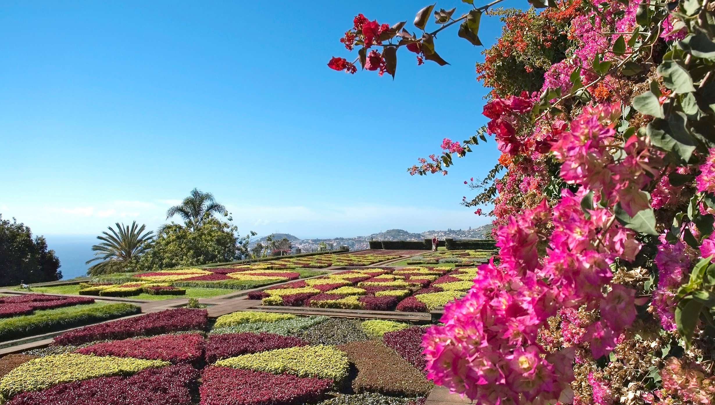 Funchal Cruise Funchal Cruise