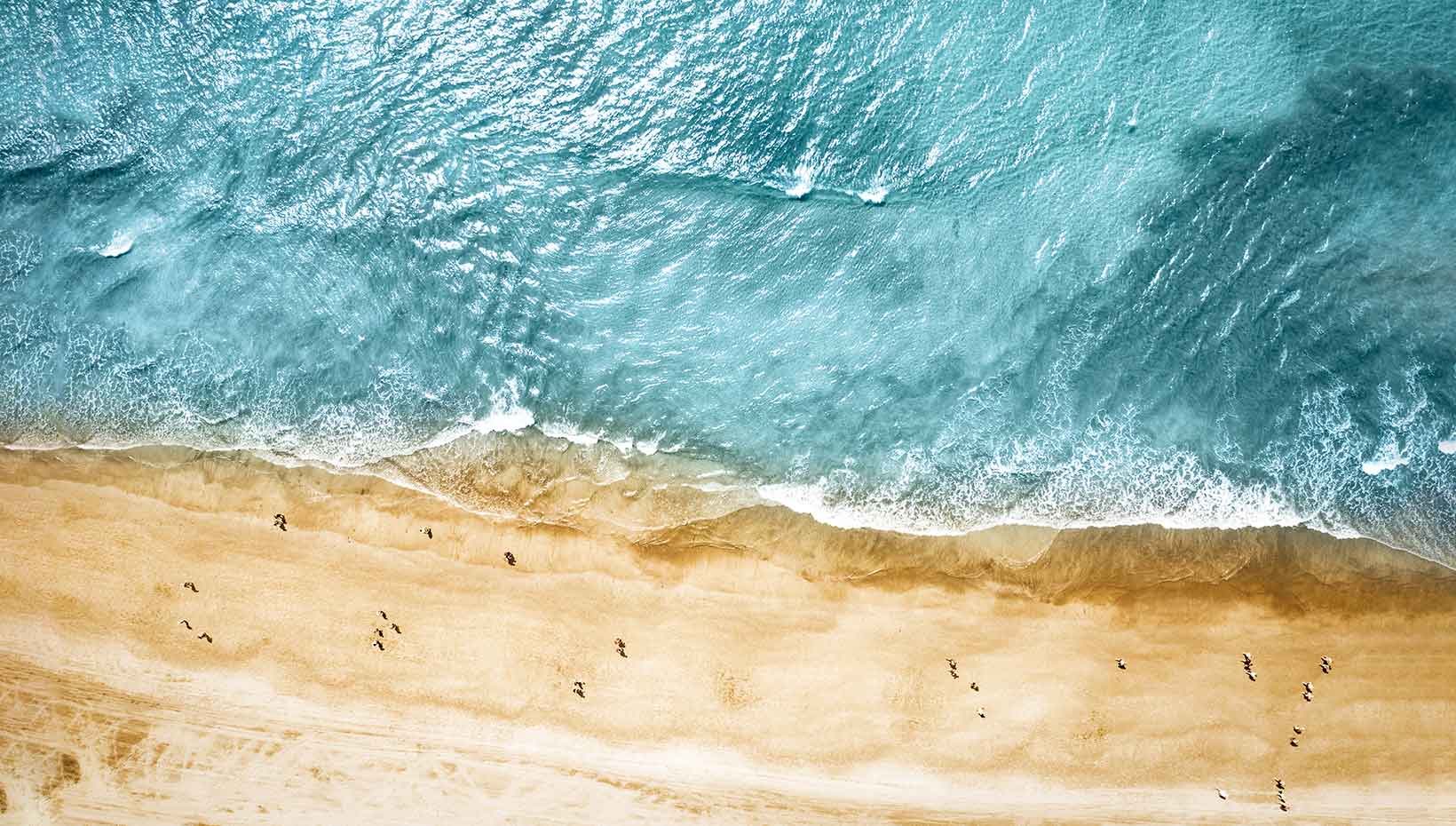 Aerial view of a pristine beach with turquoise waves and golden sand | MSC Cruises Aerial view of a pristine beach with turquoise waves and golden sand | MSC Cruises