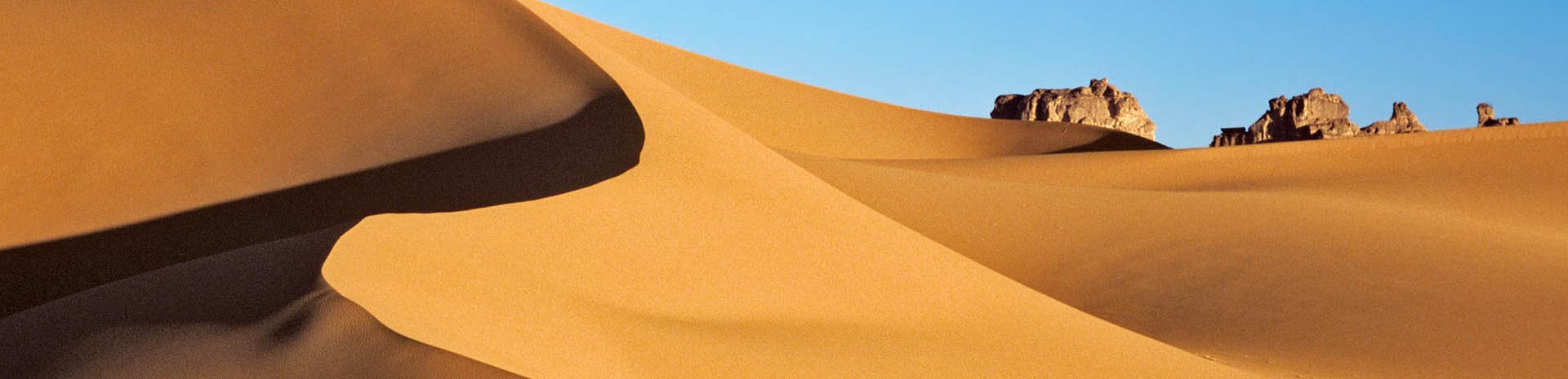 Dakar Cruise Dakar Cruise