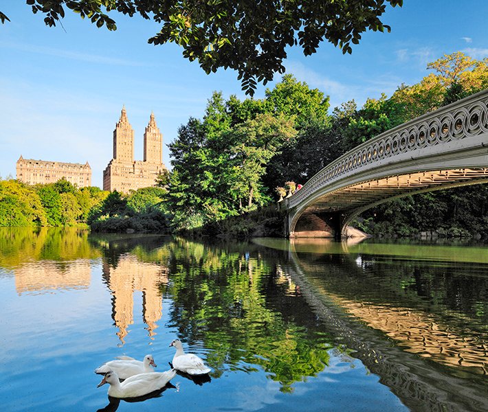 New-York-Ausflüge, Central Park | MSC Cruises New-York-Ausflüge, Central Park | MSC Cruises