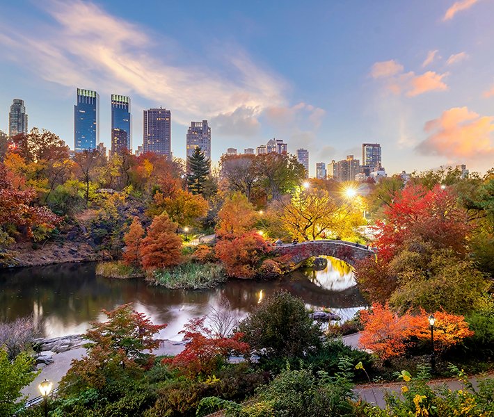 New-York-Ausflüge, Central Park | MSC Cruises New-York-Ausflüge, Central Park | MSC Cruises