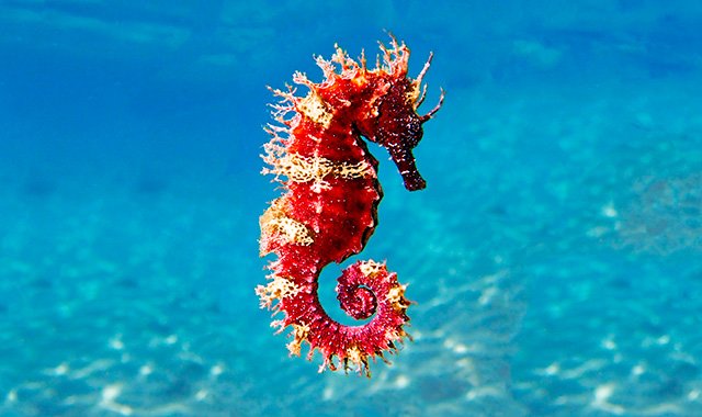 sustainability_640x380px